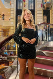 Short Homecoming Dress Sparkly Glitter Sequins Sheath Mini Homecoming Dresses HZ1022